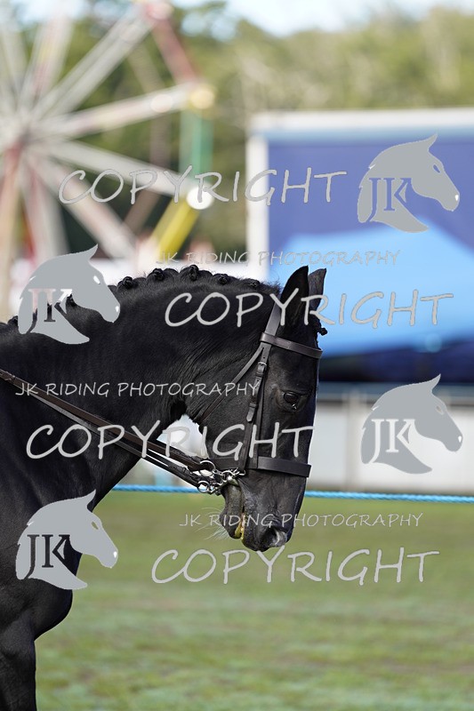 _DSC9357 - Class 8 & 17 Ridden Hunter & Ridden Hunter Pony