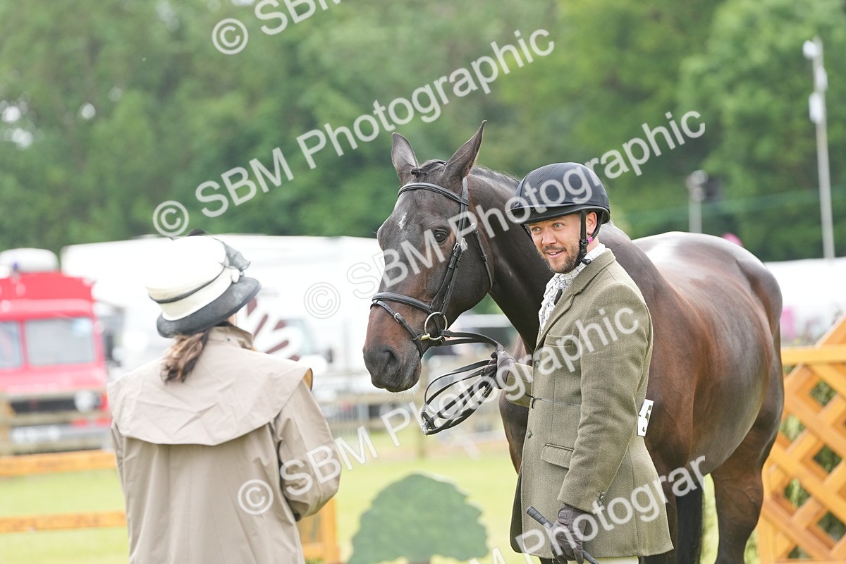 SBM_12751 - Class 97-98 - LIHS BSHA Rising Star Working Show Horse Hunter