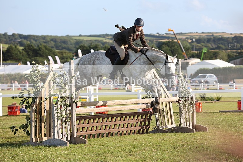 JPP_3416 - Class 22: Working Hunter 90cm