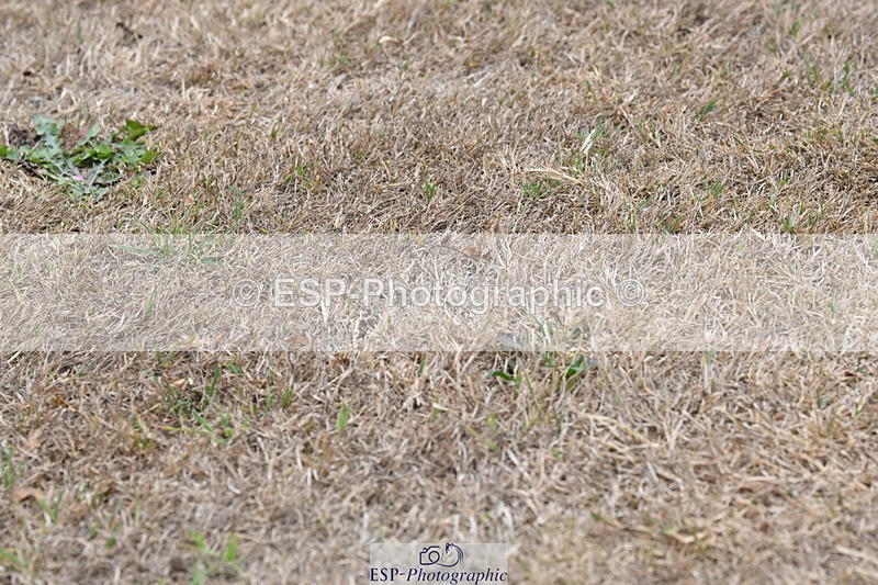 250820A-180347-12474 - Wednesday Presentations