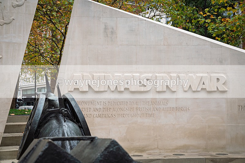 Z62_4426 - Animals In War Memorial 2025 - Park Lane, London