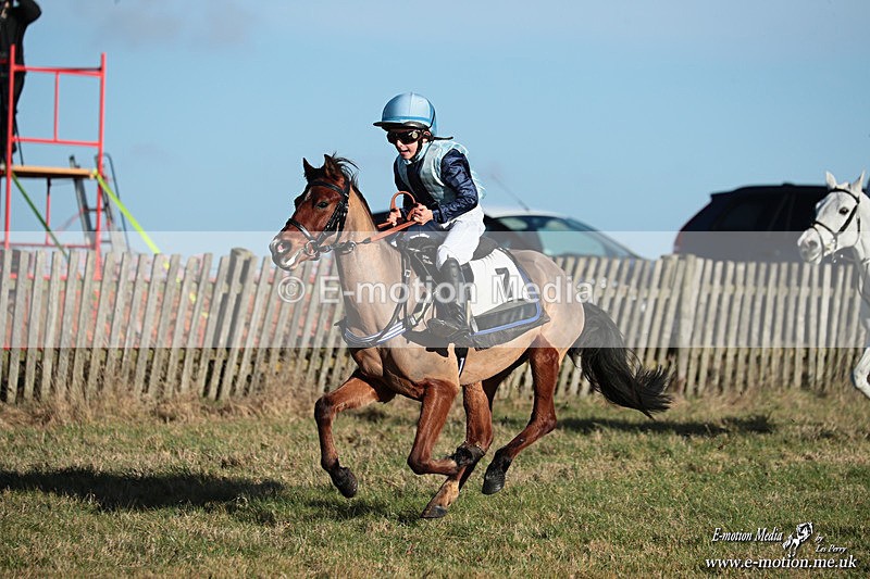 PR PtP 240126 126 - Pony Racing Horseheath 24/01/26
