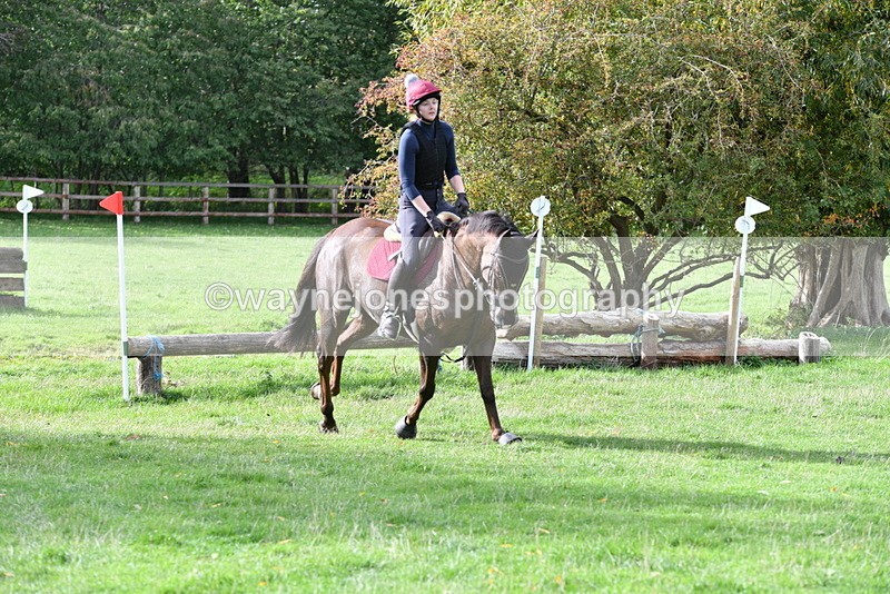 WJ5_0729 - Time 13:59 to 14:28