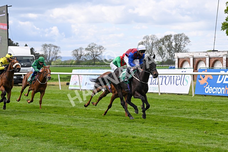 030525-Race 2-Under The Radar-2595 - Race 2