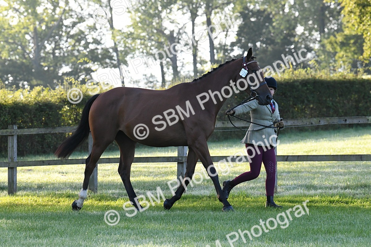 SBM_32527 - S15 - Condition & Turnout In Hand