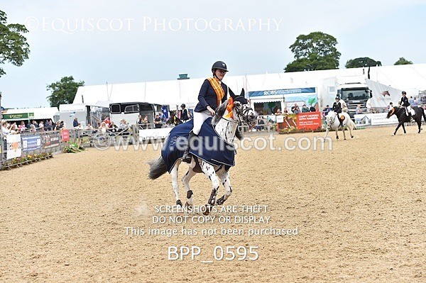 BPP_0595 - RHS 2019 Selection - *Just some random spectator shots so Lucky Dip if you are there!