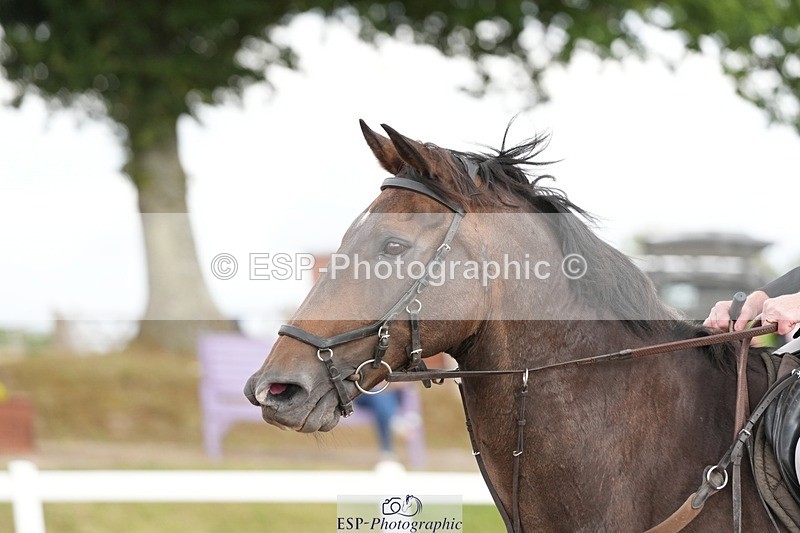 250722-160954-00229 - 70cm