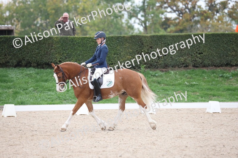 20251011-0397 - Class 4 - Novice 2