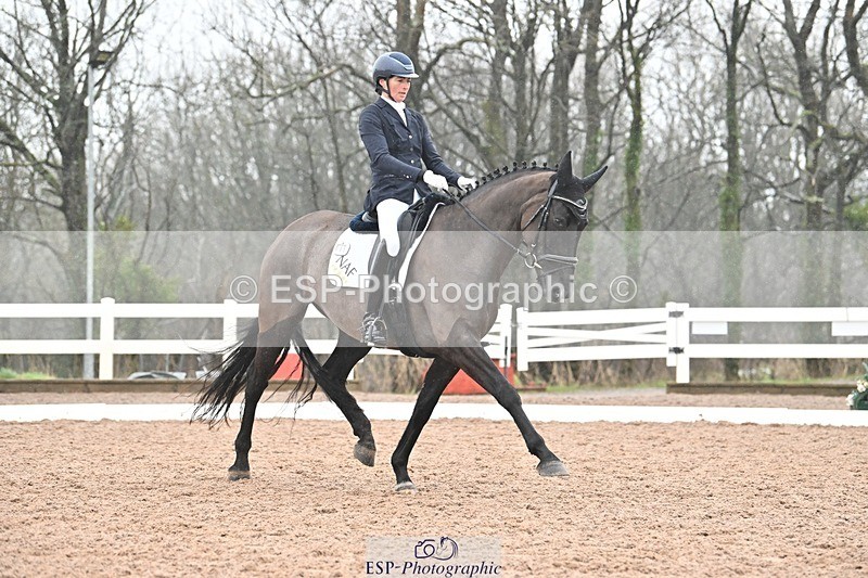 250215-133207-03882 - 165-Elder.Klatzko-Dynasty.Hit