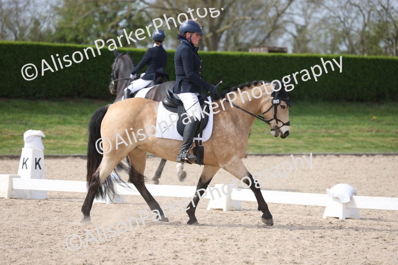 20260404-0883 - Class 5 - Novice 2