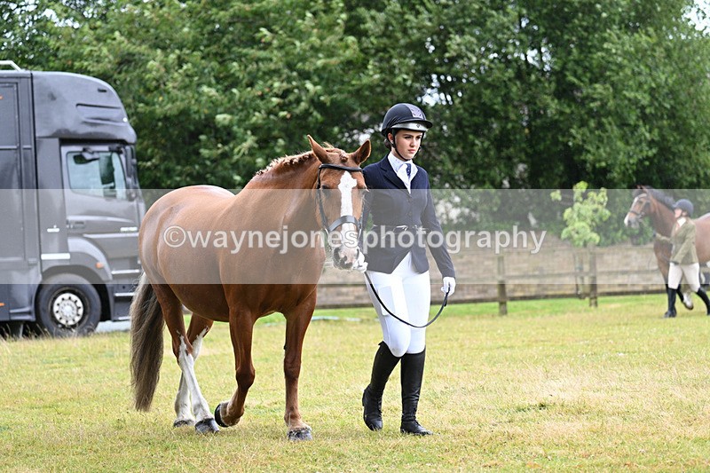 WJ7_6020 - Class 4a Prettiest Mare over 14hh