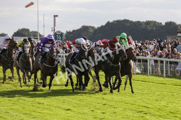 230923-Race 5-Vintage Clarets-5385 - Race 5 4.20pm Vickers.Bet Handicap