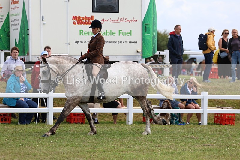 3E7A0642 - Rising Star Ridden Championship