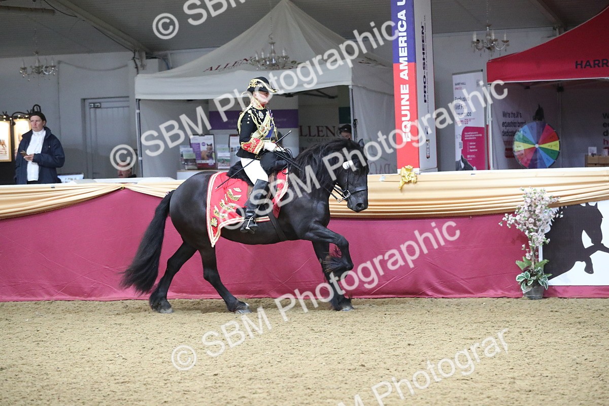 SBM_12018 - Class 106 Ridden Costume- Astride Adult (15-19)