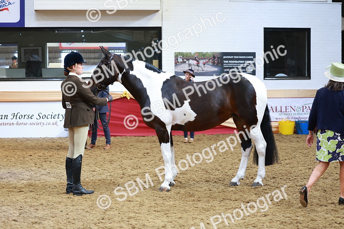 SBM_09803 - Class 102 - HOYS Veteran Qualifier - Ridden Veteran