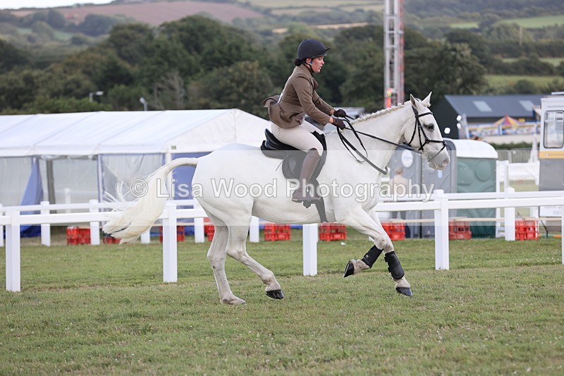 JPP_3623 - Class 24: Open Working Hunter