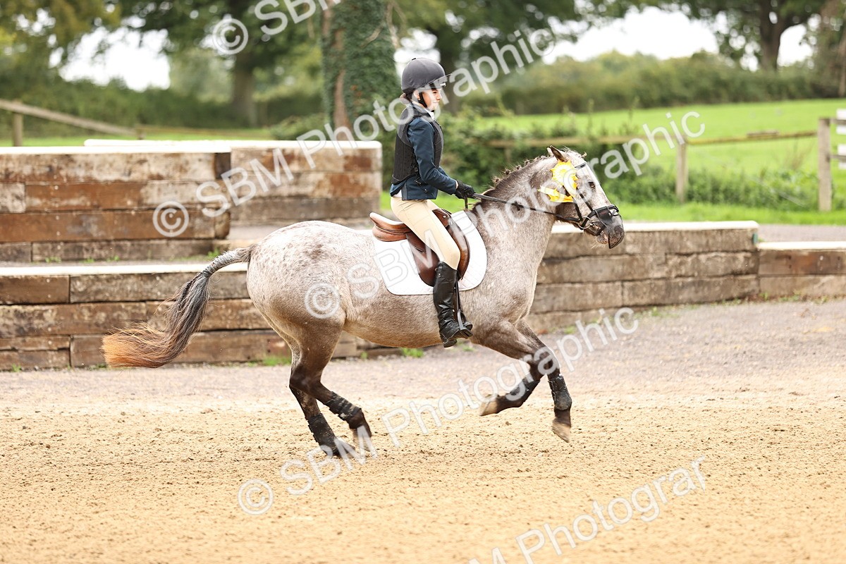 SBM_66762 - J17 - Junior Pony 80cm Championship