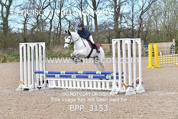 BPP_3153 - CLASS 1 Clear Round Show Jumping
