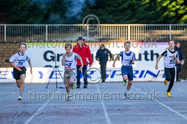 NYS26-815074 - Set One