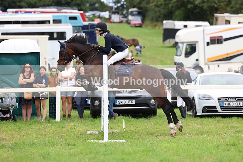 3E7A7140 - Class 5: Senior British Novice/90cm open