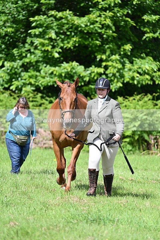 WJ7_1068 - Class 11 Condition & Turnout