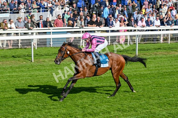 160525-Race 6-Bowmark-7178 - Race 6 4.55pm Darley EBF 'Confined' Novice Stakes