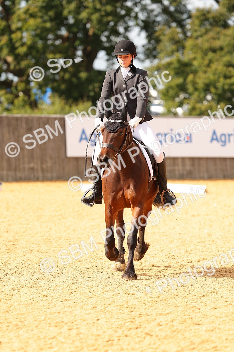 SBM_48259 - D22 - Junior Championship - Intro B