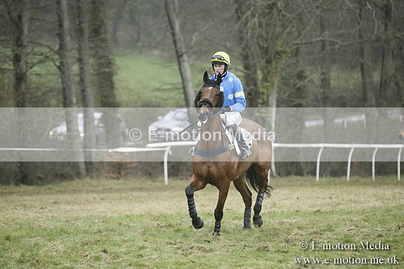 PtP 020418 -346 - Old Berks Point-to-Point Races Easter Monday 02/04/18