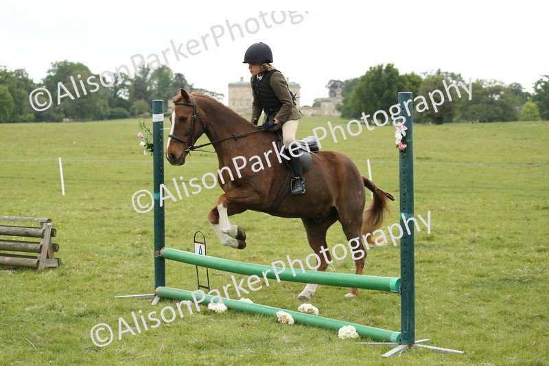 20250517-1053 - Class 21 - Novice Working Hunter