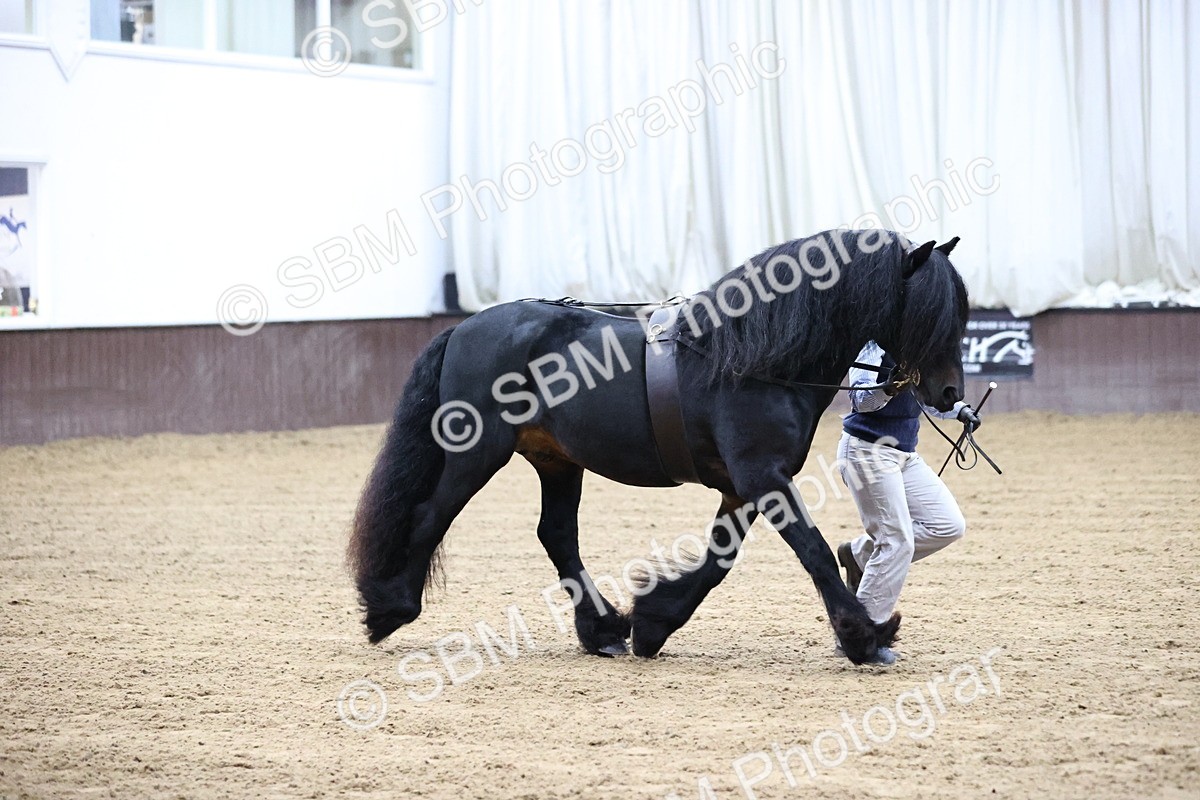 SBM_5300 - Class 32 - In Hand Cob Type