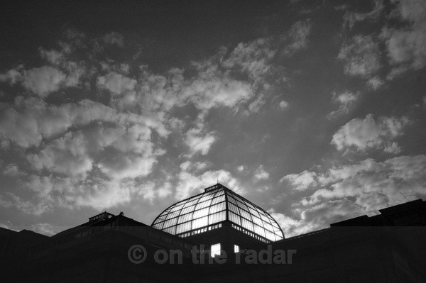 'Ally Pally' - Scattered Black and Whites