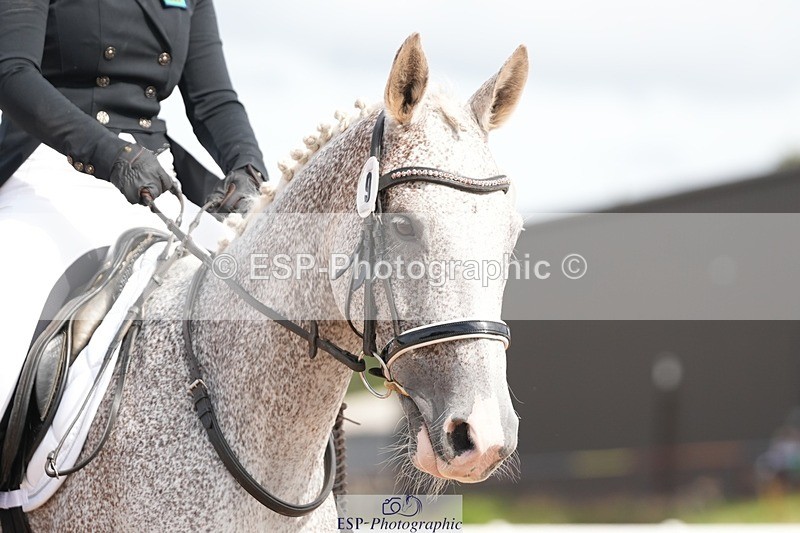 250906-114210-01648 - 009-Terri.EllawayTagula.Passion