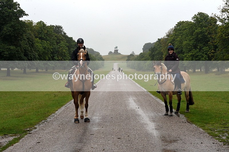 TT3_8559 - Time at Crossing 11:44 to 12:54