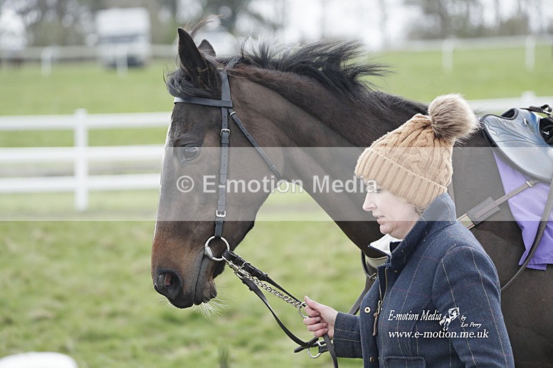 PtP 260323 1072 - New Forest Hounds Point-to-Point Larkhill 26/03/23