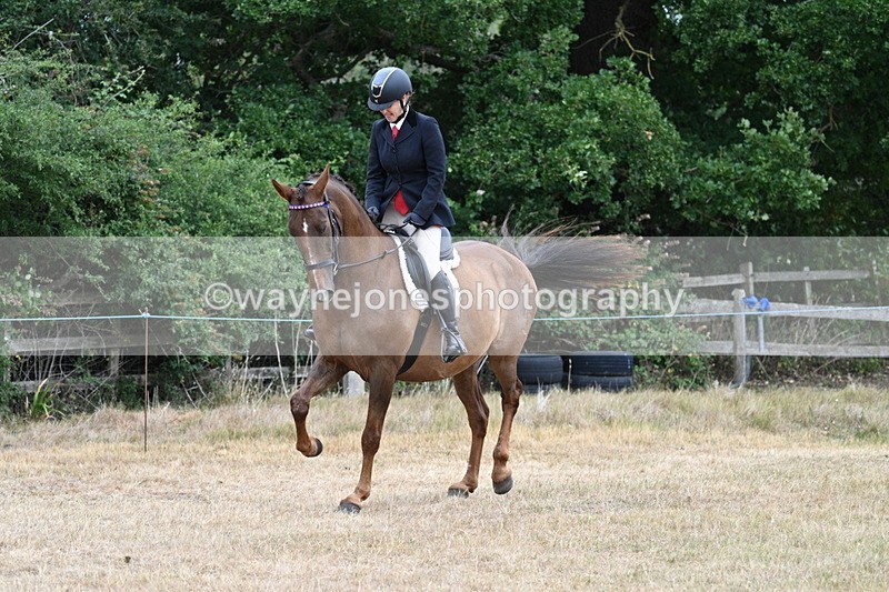 WJ7_0829 - Class 7 Riding Club Show Horse