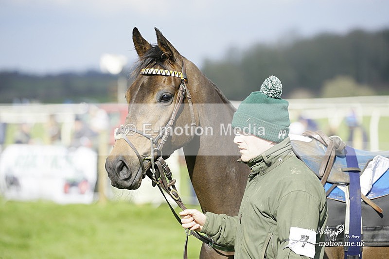 PtP 060322 137 - Blackmore & Sparkford Vale Hunt PtP 06/03/22