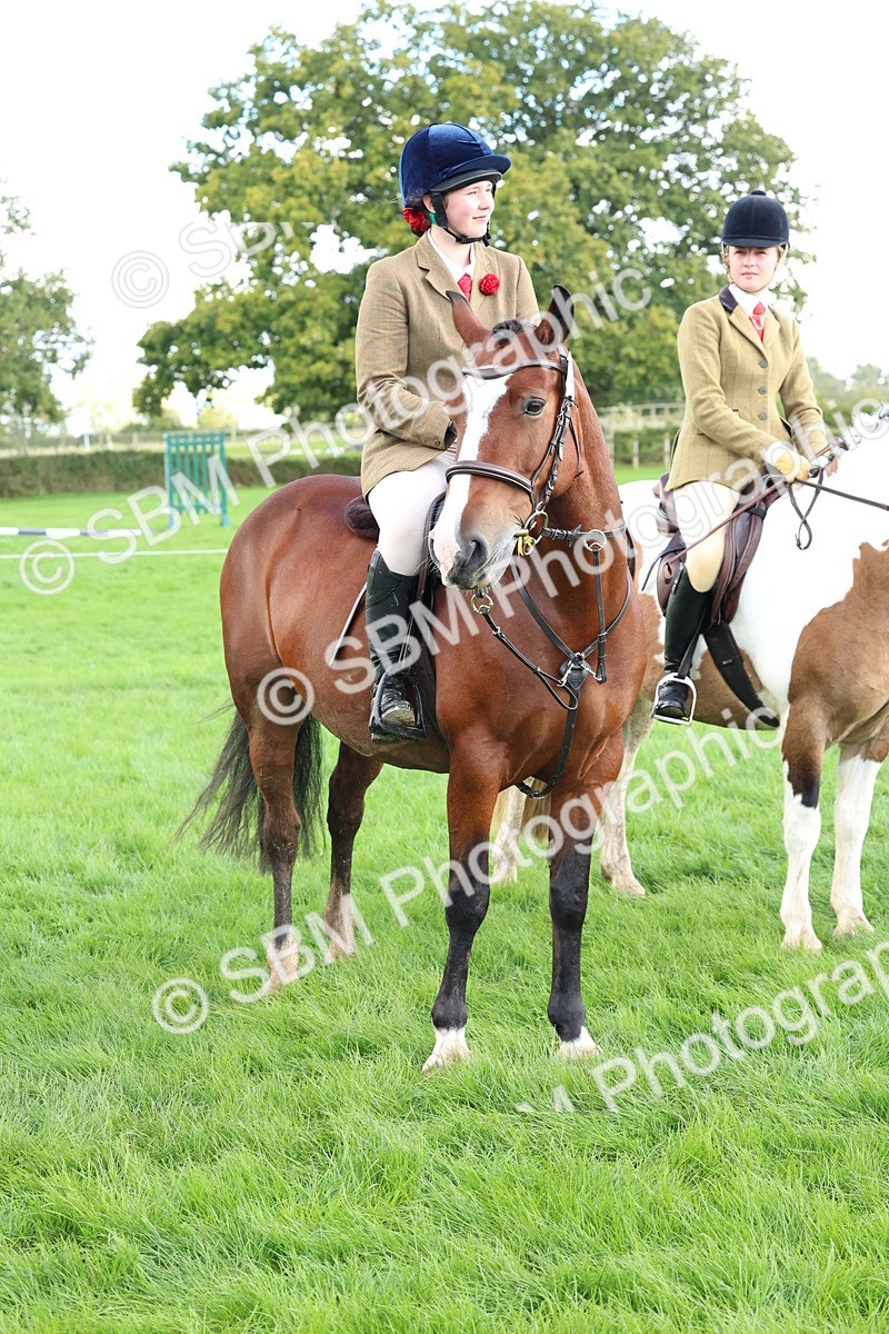 SBM_45569 - S33 - Working Hunter Pony