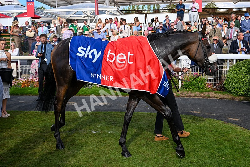 220826-Race 5-Sondad-5115 - Race 5 16.10pm Sky Bet Constantine Handicap