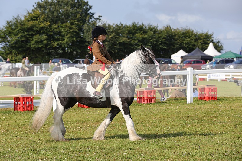 1X9A3444 - Skewbald and Piebald Ridden Championship