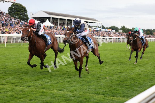 yr19082021r6-16 - Race 6 4.45pm British EBF & Sir Henry Cecil Galtres Stakes
