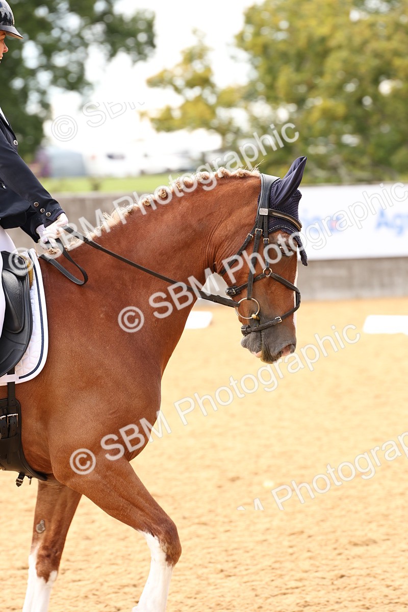 SBM_09148 - D30 - Small Tour PYO Open