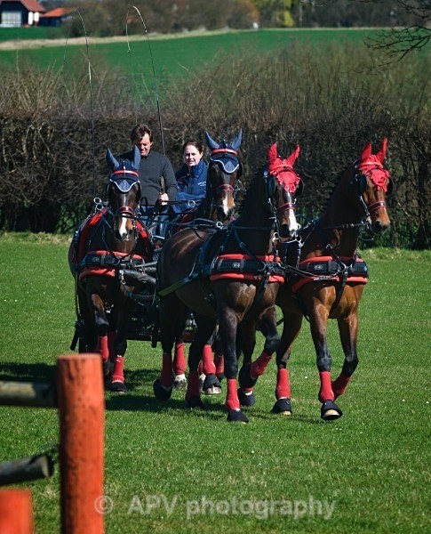 _DSC0125 - Ashfields Carriage & Polo Club