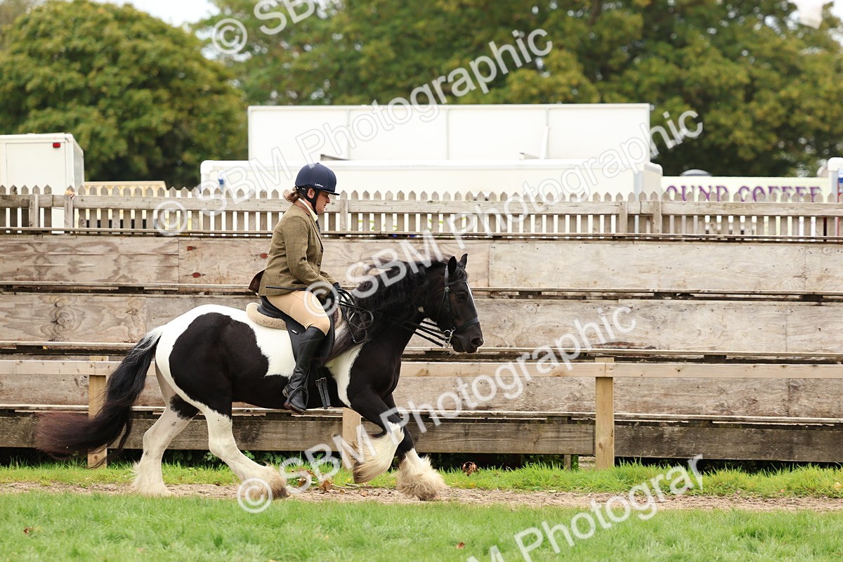 SBM_64620 - S58 - Coloured Pony Ridden