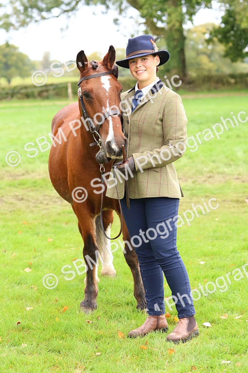 SBM_41736 - S26 - Mature Veteran In Hand