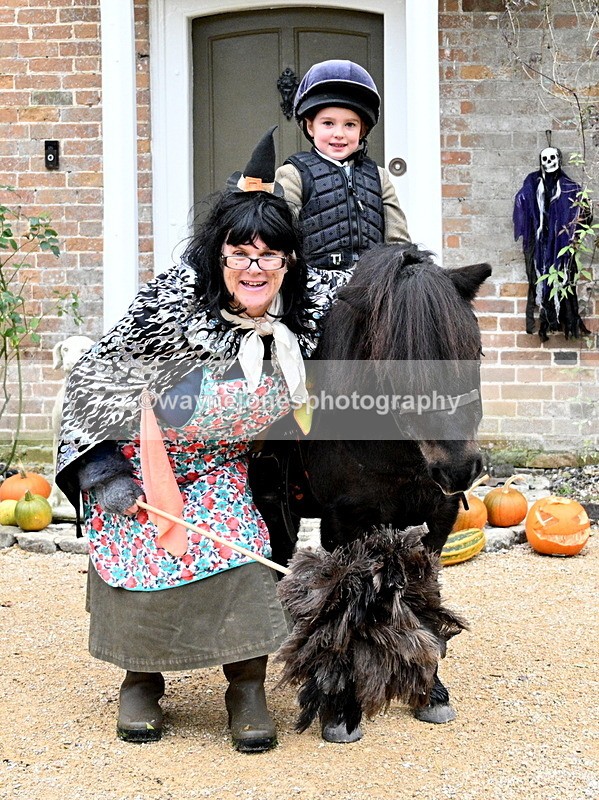 WJ7_6793 - Berks & Bucks - Children's Meet - The Old Farmhouse – Steventon.