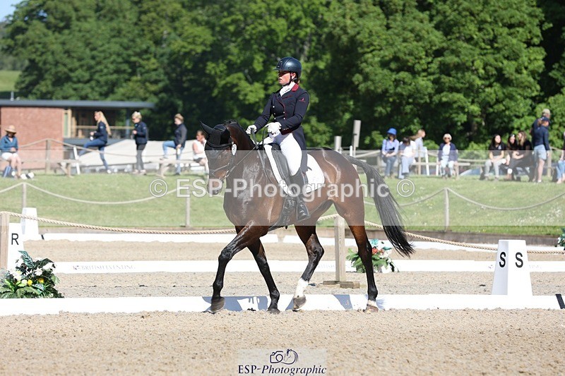 230526-094043-05128 - 357-VIVENDI_HERO-Saffron_Cresswell-WEDTrotUp+DR