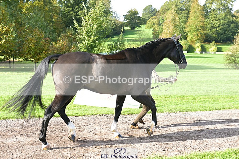 241023-130508-00059 - 052-Lydia.Heywood-JUST.THE.BISCUIT