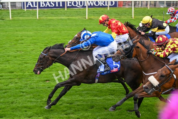 260725-Race 2-Elmonjed-7262 - Race 2 2.00pm Sky Bet Dash Handicap