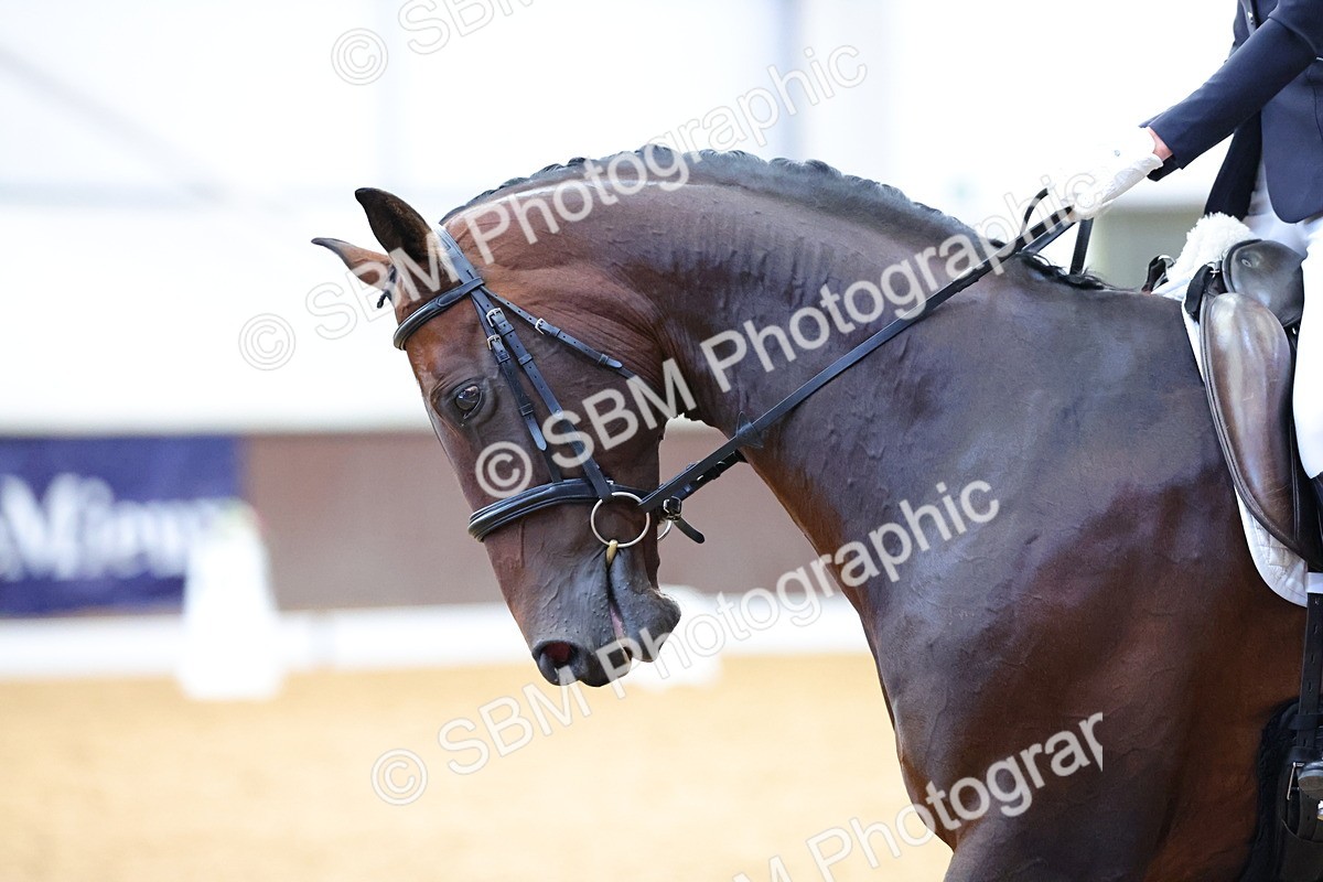 SBM_000516 - Class 2 - P5