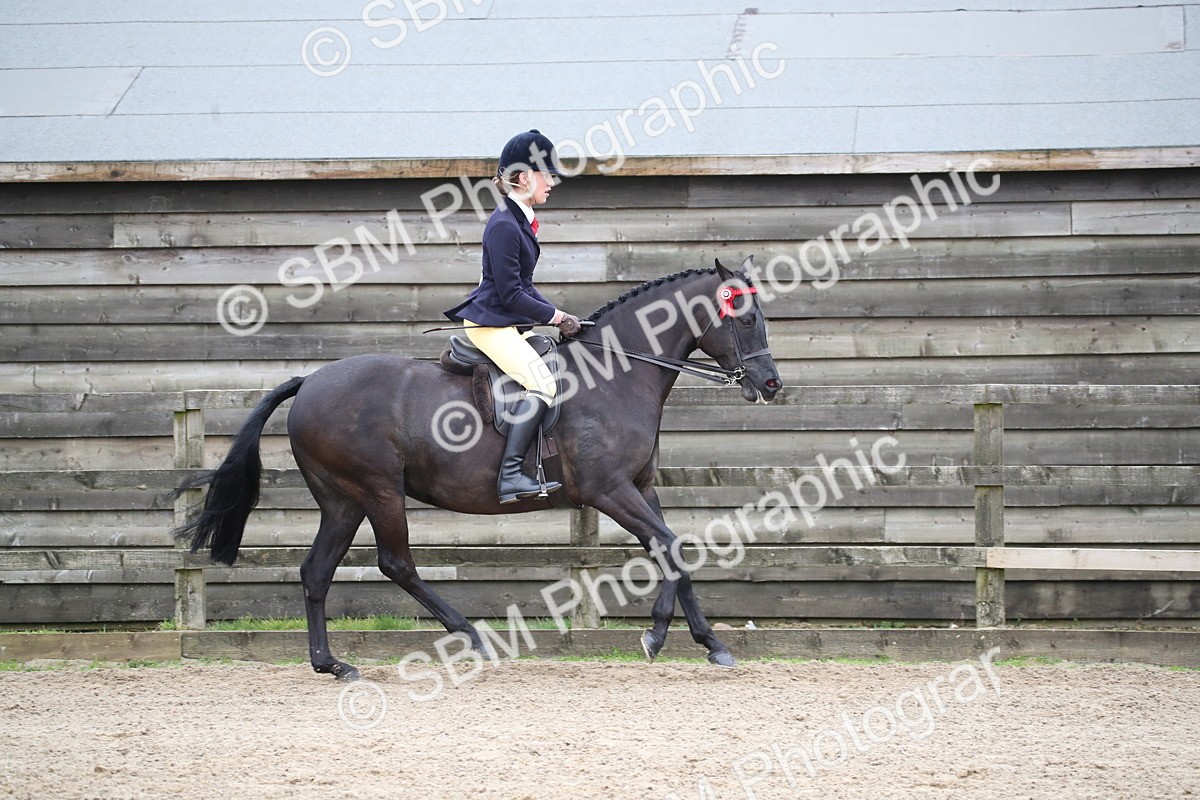 SBM_004709 - Class 5-9 - NPS In Hand-Show Hunter-Intermediate Ridden Inc Ridden Championship